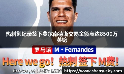 热刺创纪录签下费尔南德斯交易金额高达8500万英镑